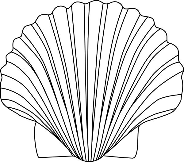 Seashell Shell Black And White Sea Shell Clipart