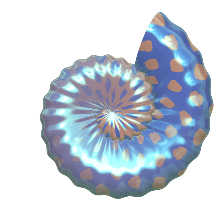 Free Seashell The Png Images Clipart