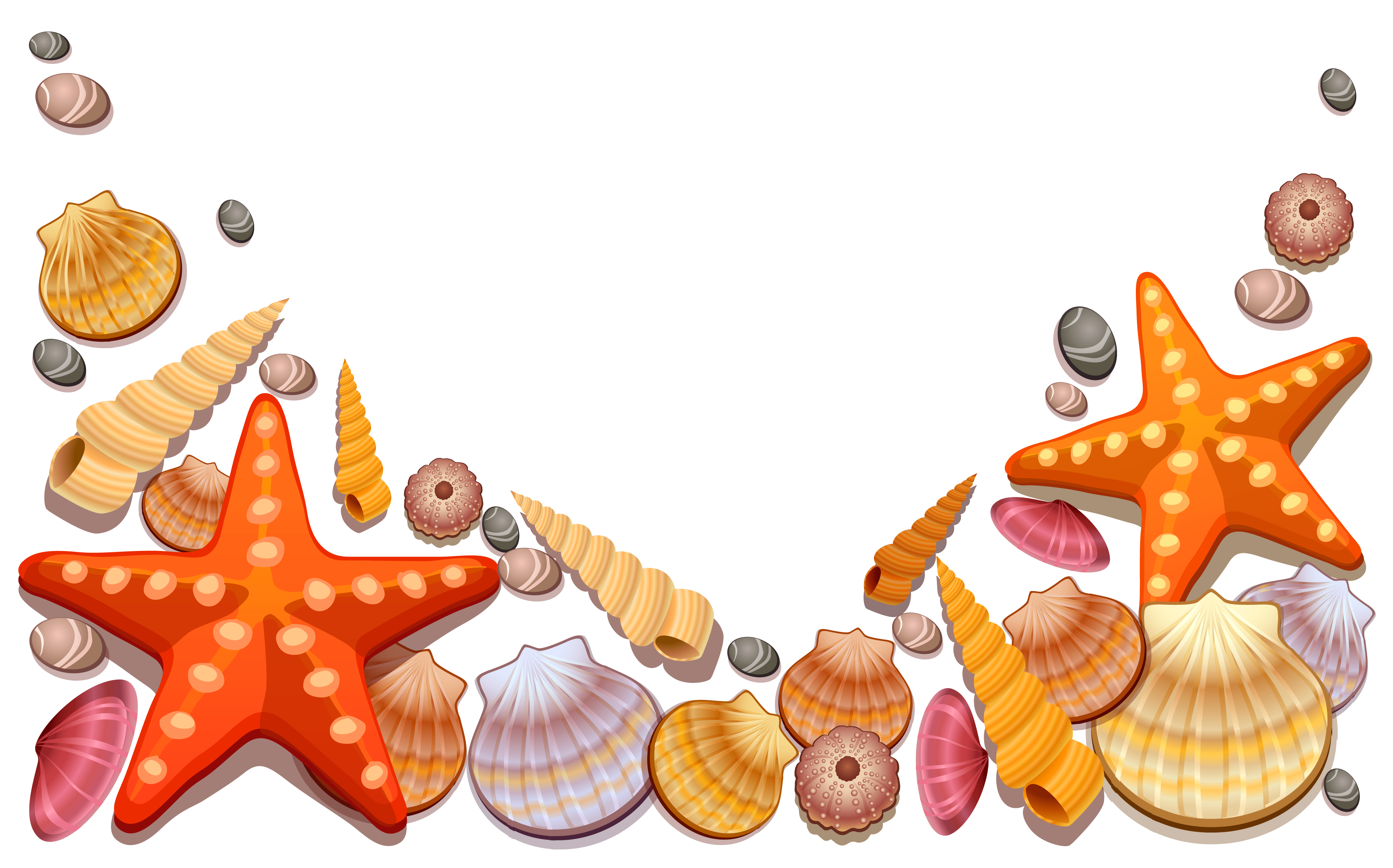 Seashell Decor Vector Sea Shells Free Download Image Clipart