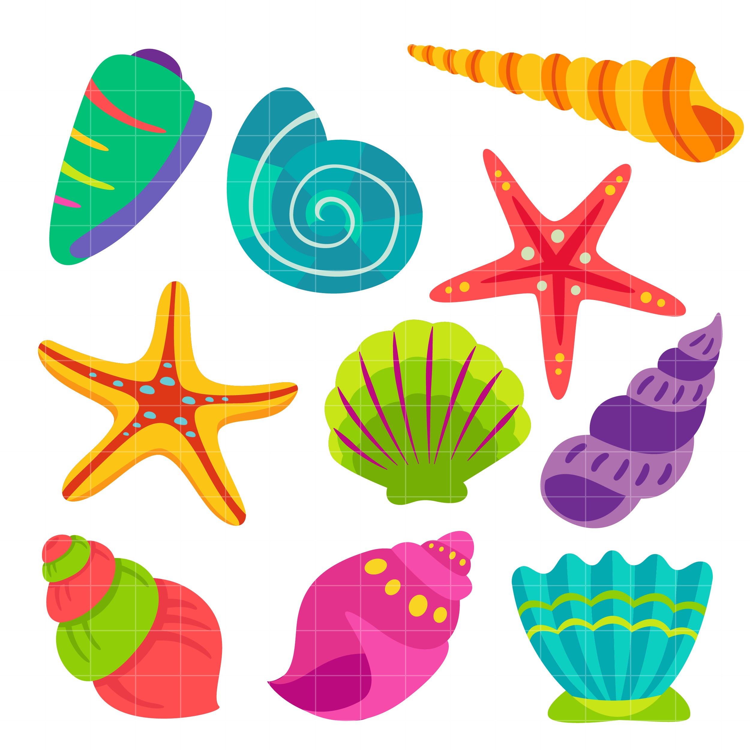 Морские ракушки и звезды для детей