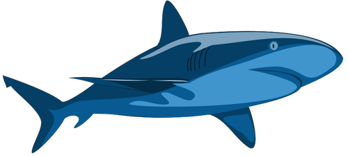 Pure Shark Image Clipart