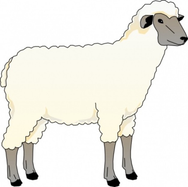 Free Sheep Pictures Download Png Clipart