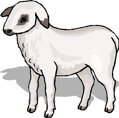 Sheep Download Png Clipart
