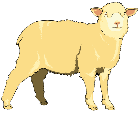 Sheep And Illustration 7 Sheep Vector Clipart