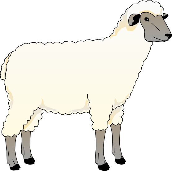 Sheep To Use Png Images Clipart