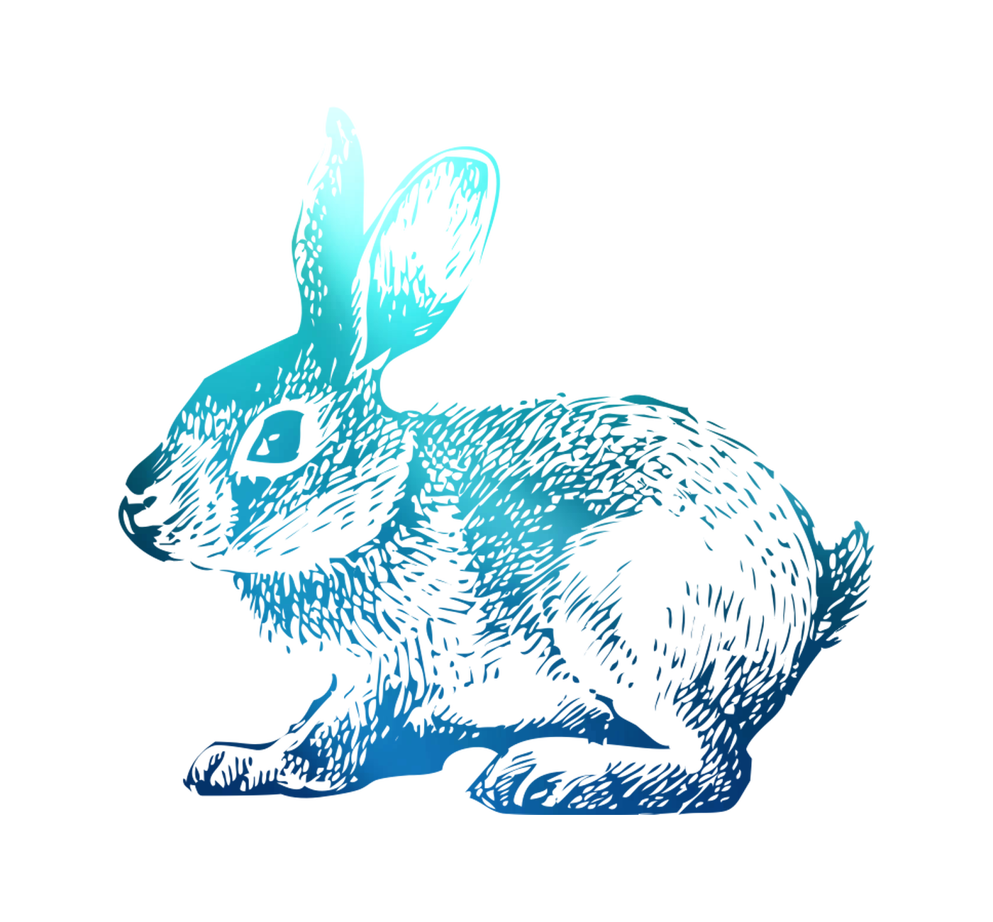 Domestic T-Shirt Hoppy Rabbit Easter Bunny Clipart