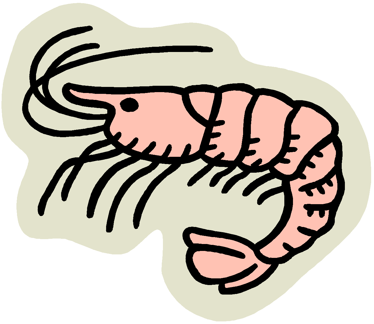 Cooked Shrimp Images Image Png Clipart