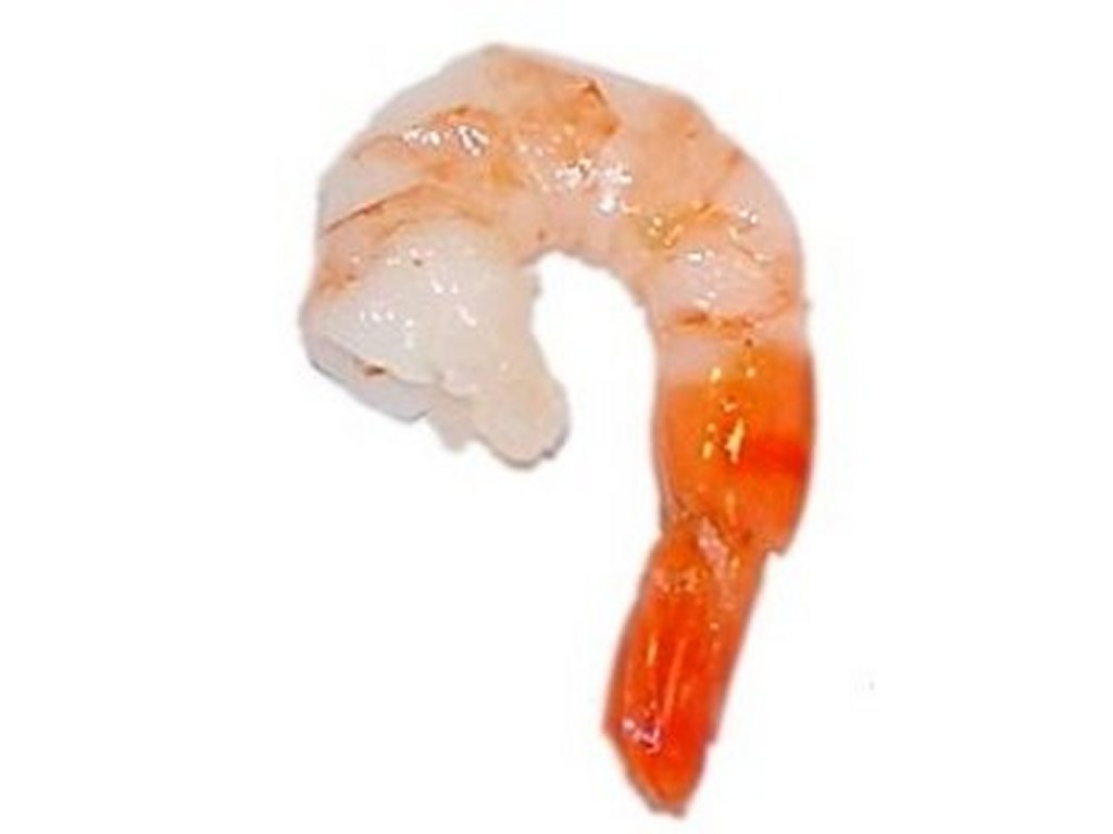 Shrimp Images Illustrations Photos Free Download Clipart