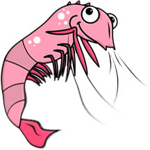 Free Shrimp S Animations Png Images Clipart