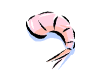 Rentals Serves Shrimp Images Free Download Clipart