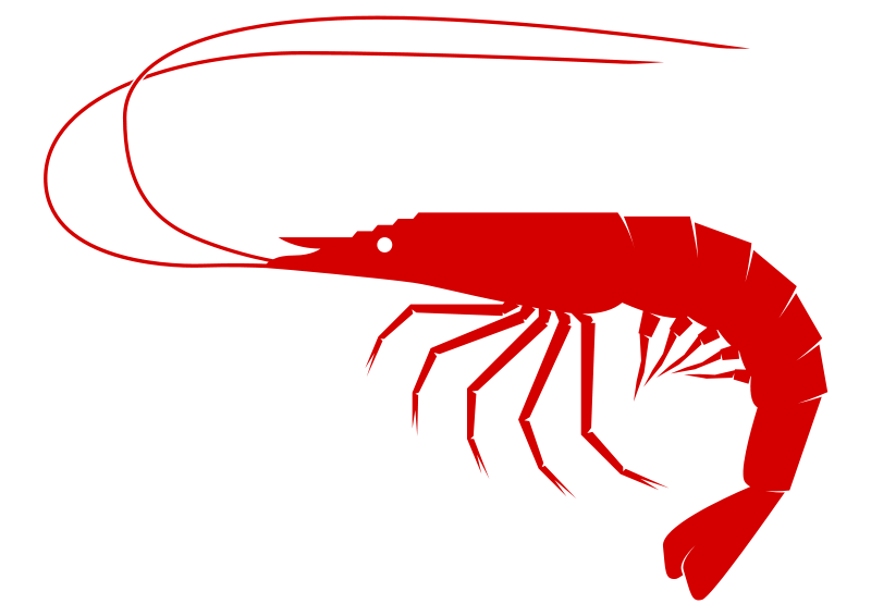 Shrimp To Use Download Png Clipart