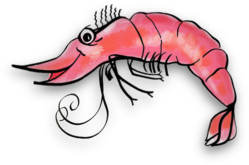Free Shrimp S Animations Free Download Png Clipart
