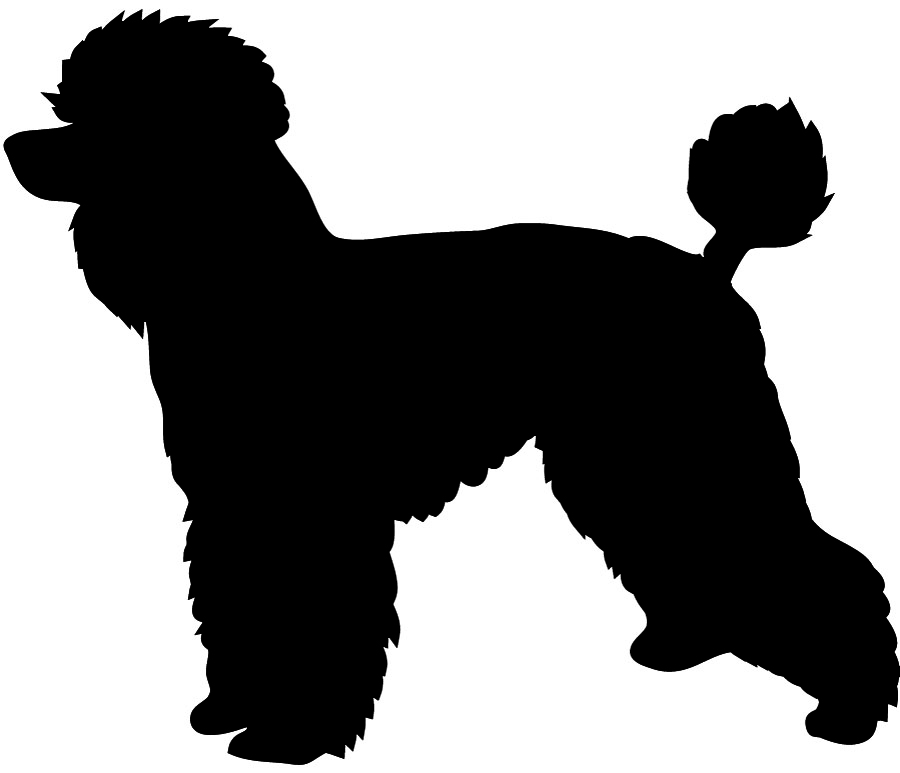 Animal Silhouette Png Images Clipart