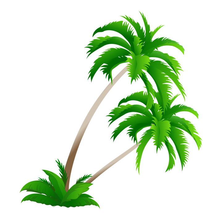 Download Arecaceae Coconut Material Tree Download Free Image Clipart ...