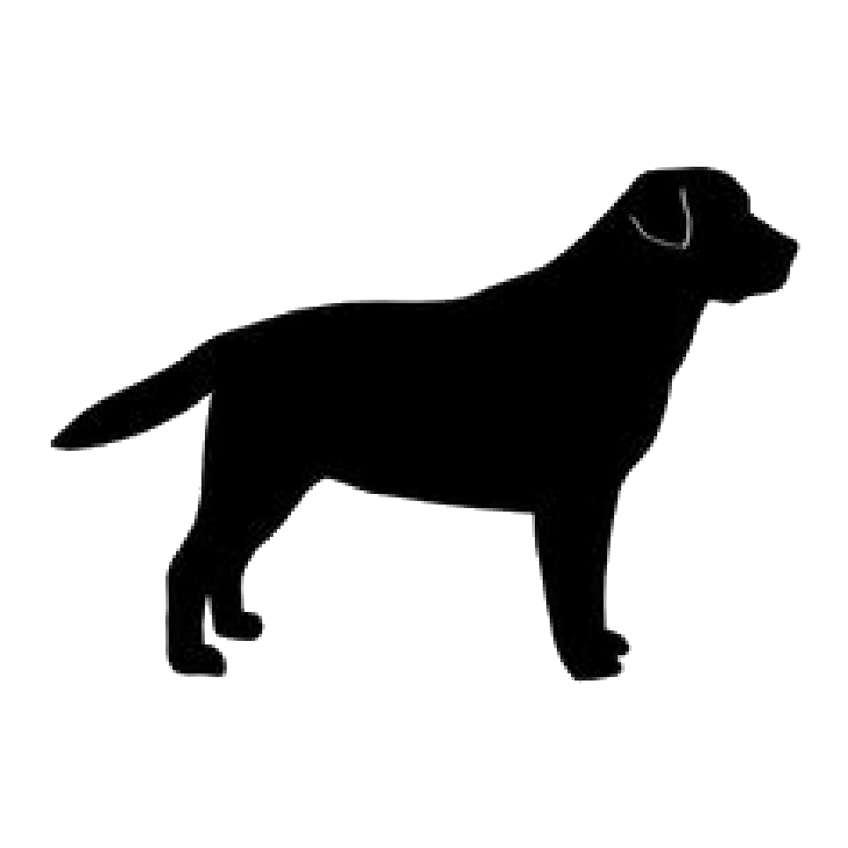 Golden Silhouette Labrador Breed Dog Retriever Clipart