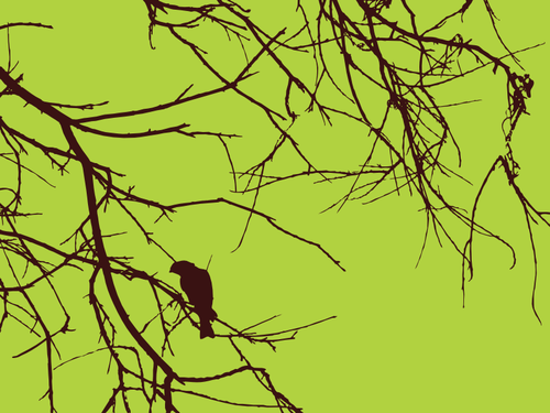 Bird On The Branch Clipart