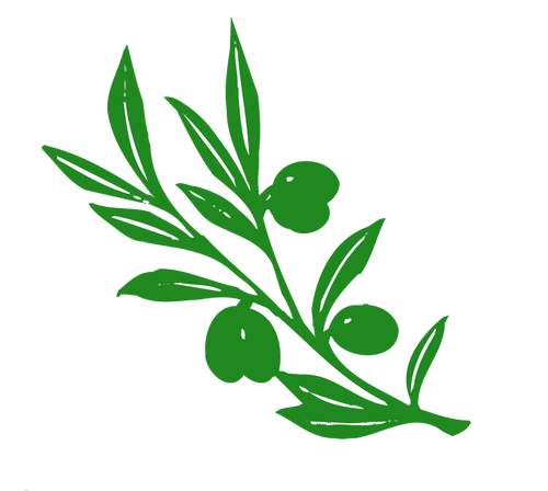 Olive Tree Branch Clipart