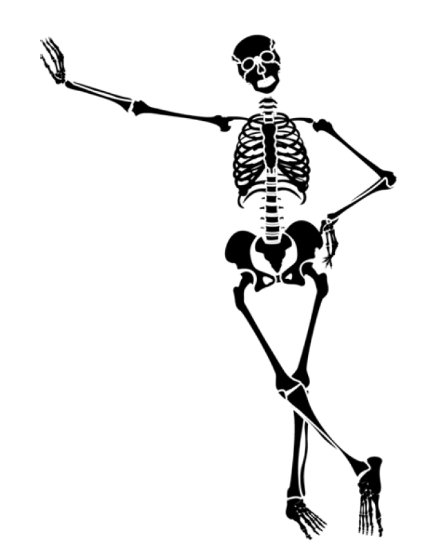 Скелет черно белый рисунок