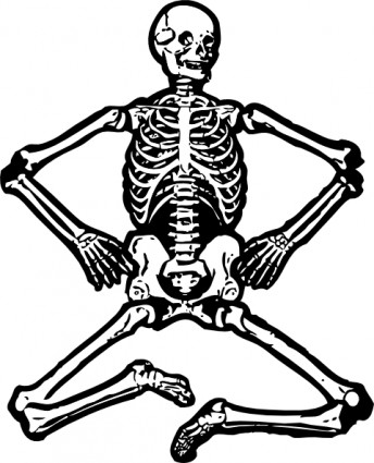 Human Skeleton Vector In Open Office Drawing Clipart
