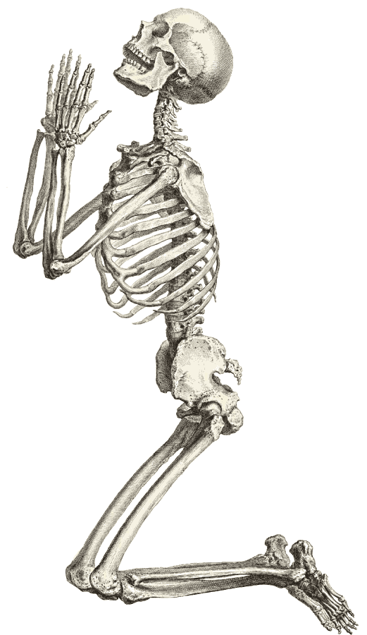 Free Skeleton Public Domain Halloween Images 2 Clipart