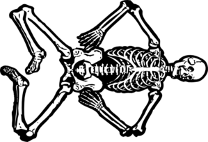 Skeleton Cartoon Skull Image Png Image Clipart