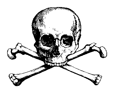 Skull Png Images Clipart