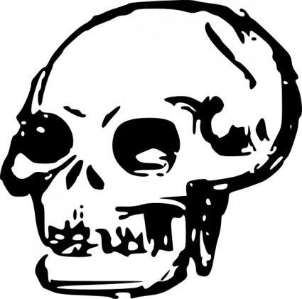 Human Skull Vector In Open Office Drawing Clipart
