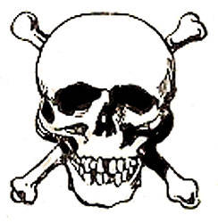 Clip Art Skulls Dromfgj Top Free Download Clipart