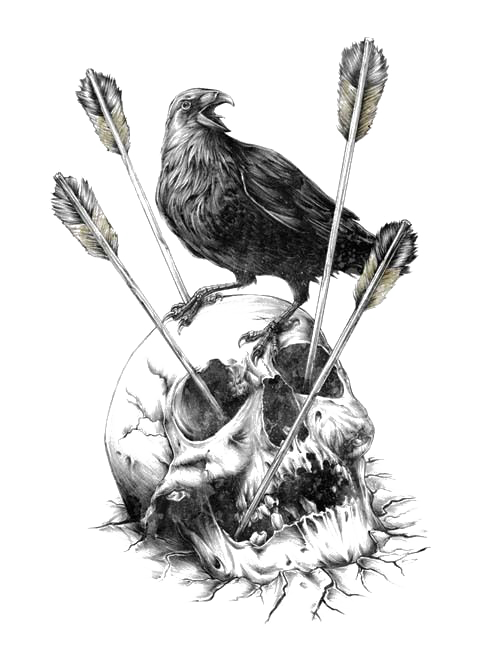 Skull Calavera Illustration Carlsberg Fjord Human Crow Clipart