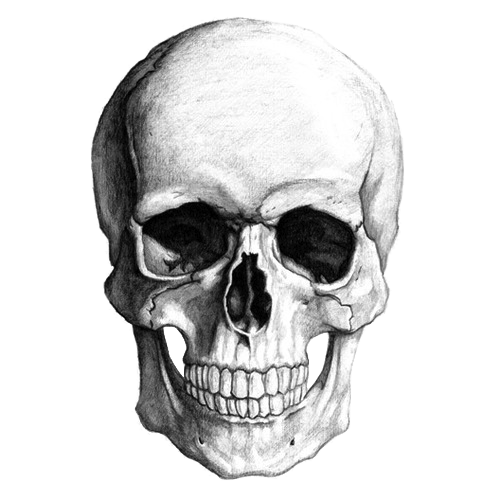 Sketch Skull Free Download PNG HQ Clipart