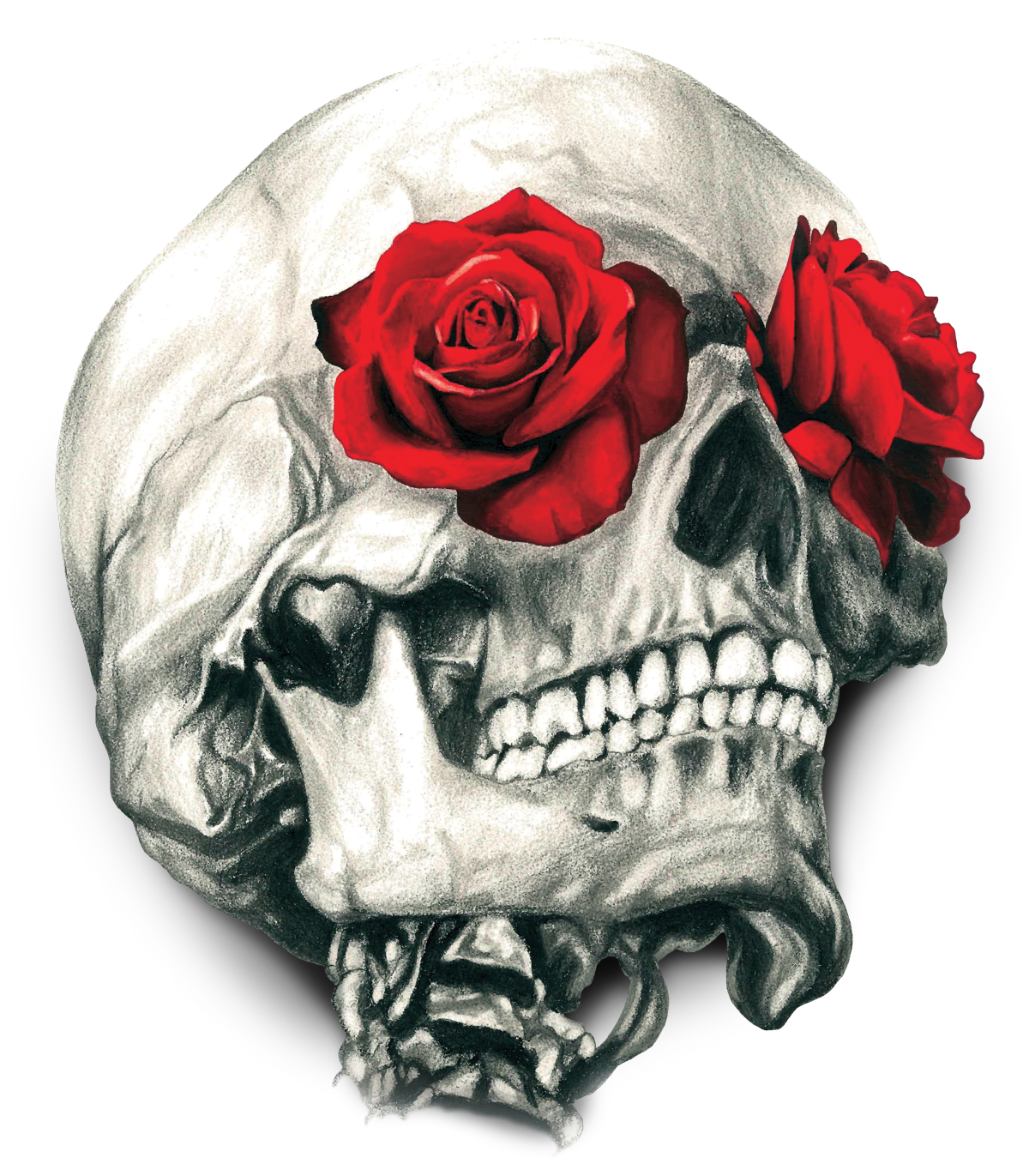 Skull Calavera T-Shirt Human Rose Symbolism Clipart