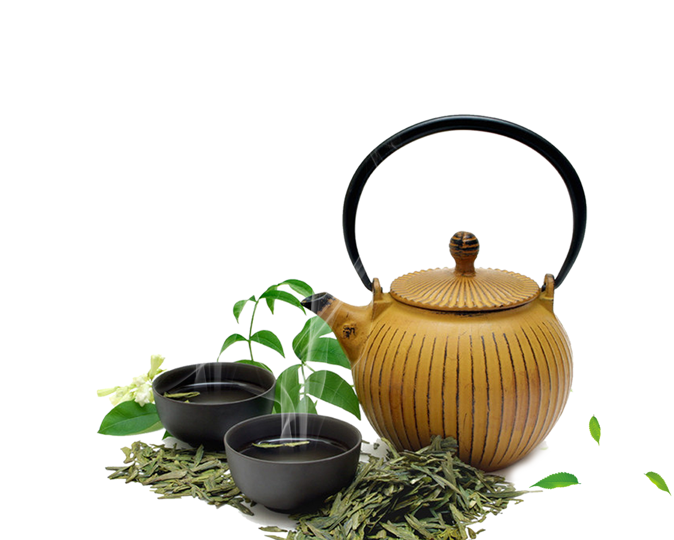 Tea Assam Green White Longjing Teapot Clipart