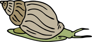 Free Snail 1 Page Of Public Domain Clipart