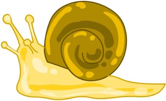 Snail Image Png Image Clipart