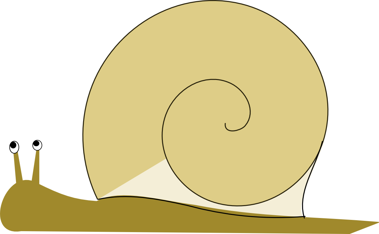Snail Png Image Clipart