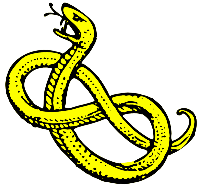 Snake For You Download Png Clipart