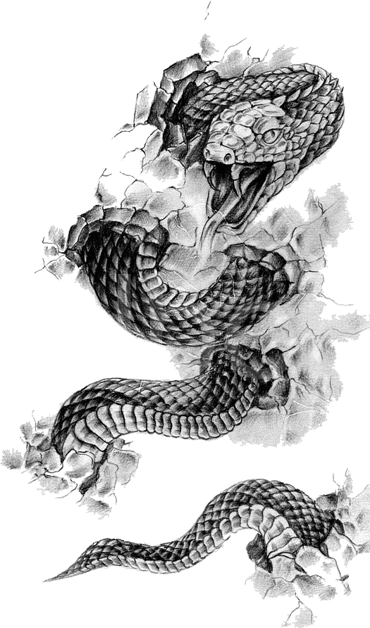 Tattoo Flash Rattlesnake Snake Black-And-Gray Free HD Image Clipart