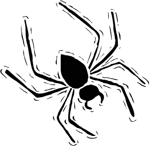 Spider Funny Images Png Image Clipart