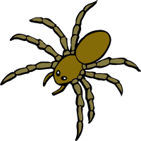 Spider Black And White Images Hd Image Clipart