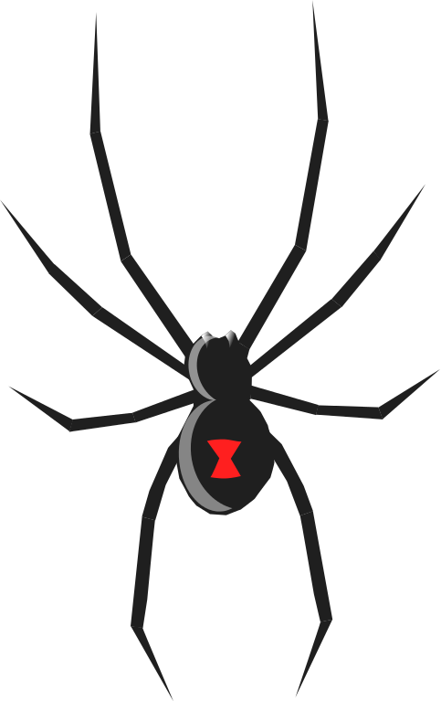 Spider To Use Transparent Image Clipart