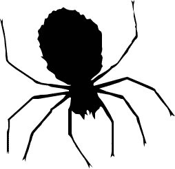 Free Spider Graphics Images And Photos Clipart