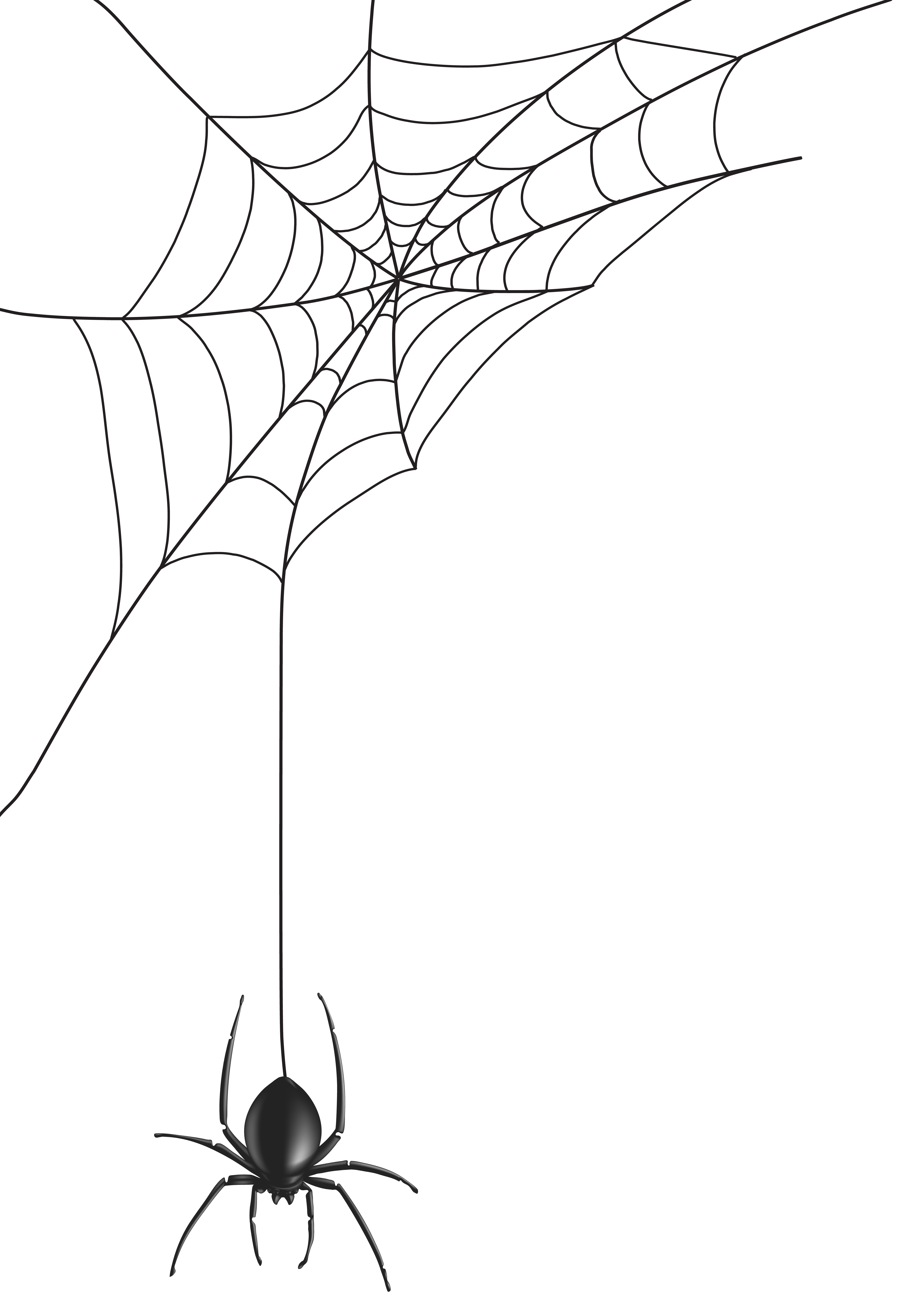 Web Spider HQ Image Free PNG Clipart
