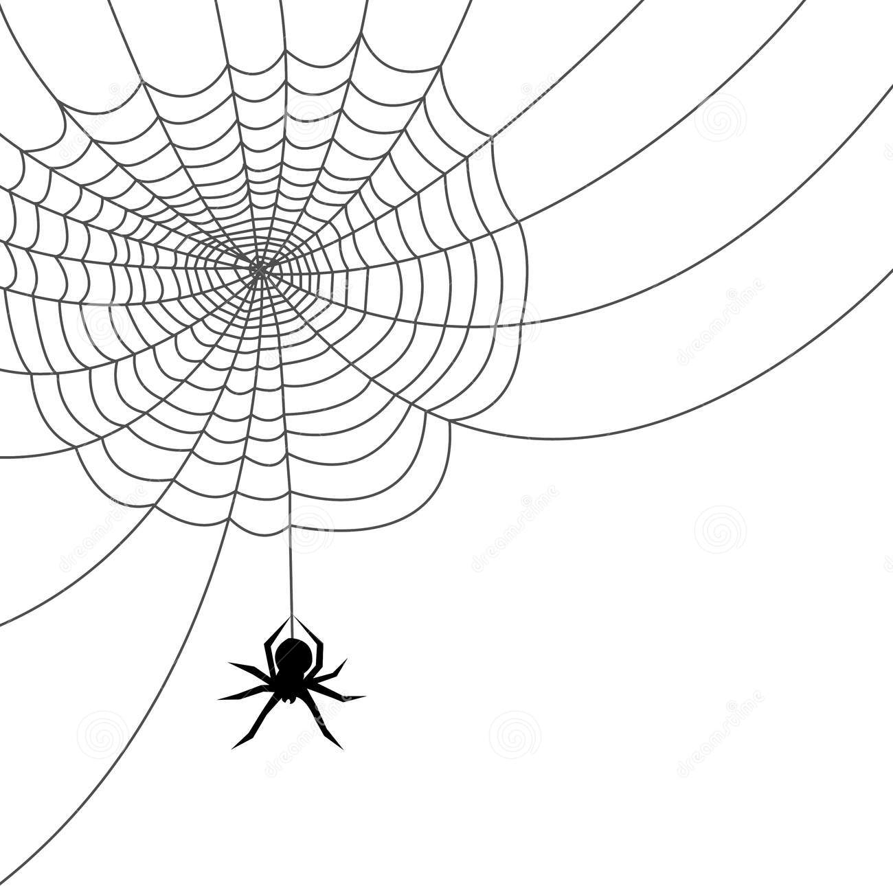 Spider Web Spiders Web Free Download Clipart