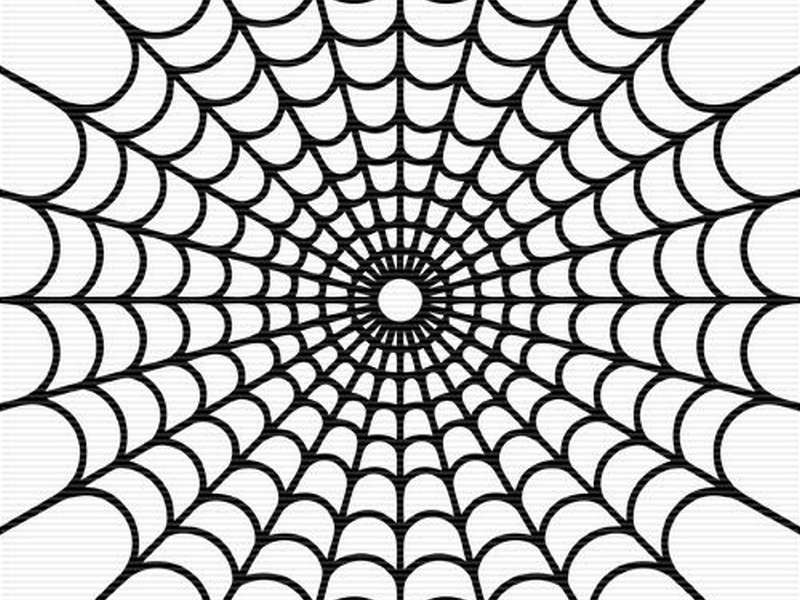Spider Web Image Png Clipart
