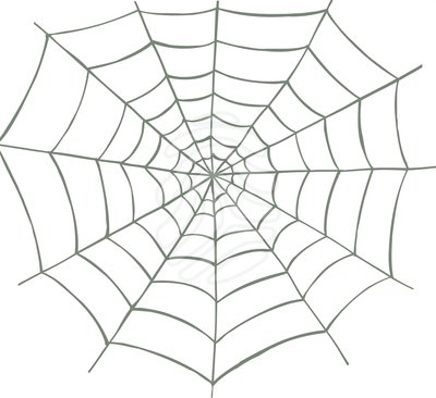 Spider Web Png Image Clipart