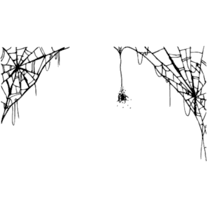 Spider Web Hd Image Clipart