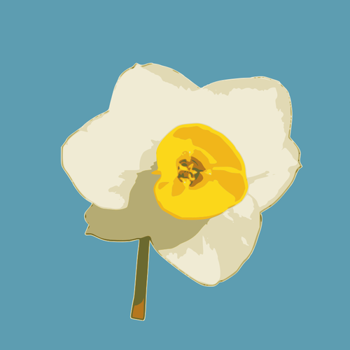 Daffodil On Blue Background Clipart