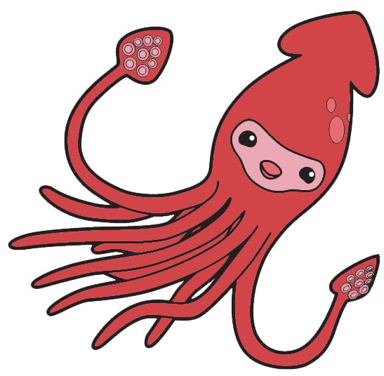 Squid Images Hd Photo Clipart