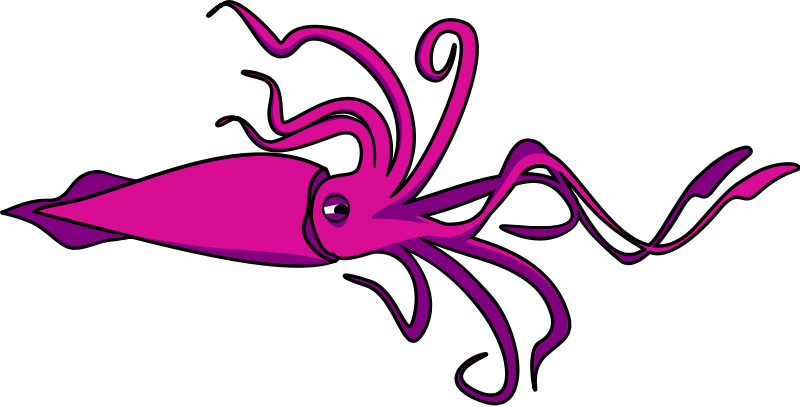 Squid Images Download Png Clipart