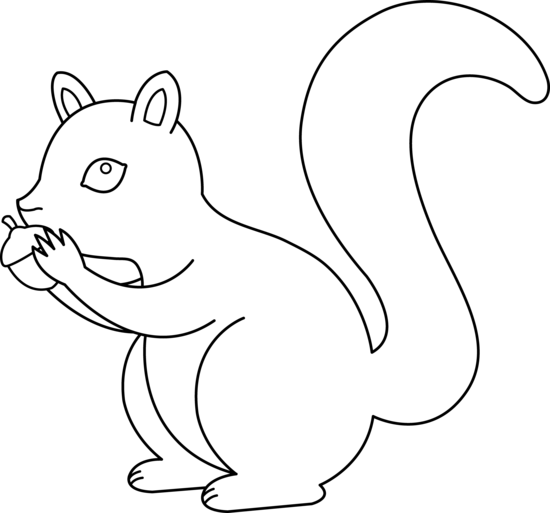Squirrel Black And White Images Png Image Clipart